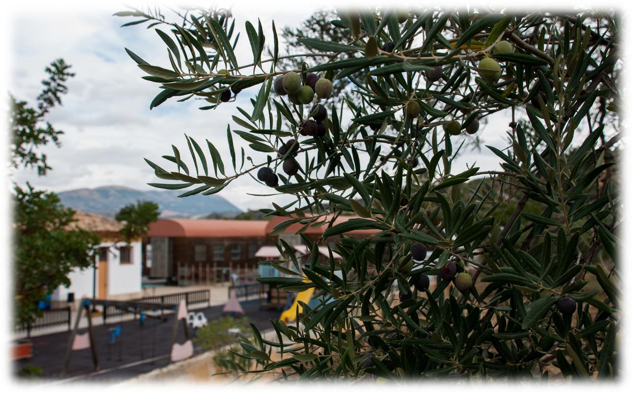 Hostal- Restaurante Estacion Via Verde Olvera Luaran gambar